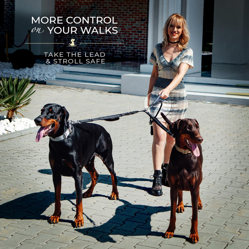 SparklyPets setup on urban walk showing dual leash in action.
