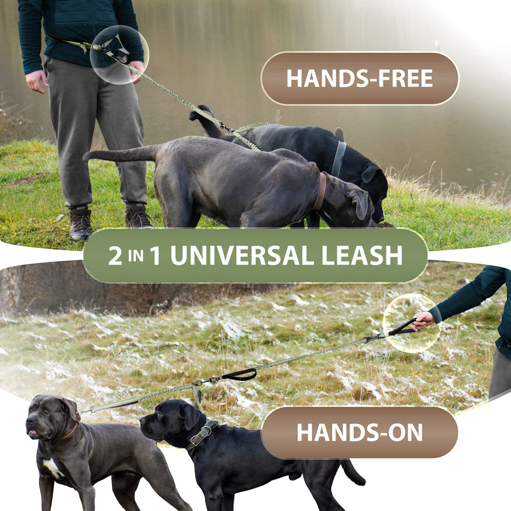 SparklyPets reinforced stainless steel clasps for secure, durable use.
