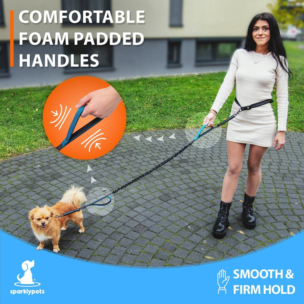 SparklyPets stainless-steel clips ensure secure attachment during pulls