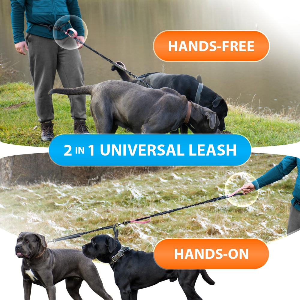SparklyPets two-dog design supports balanced control on busy strolls.