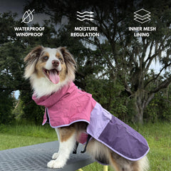 Spark Paws breathable mesh lining visible inside for comfort during long walks