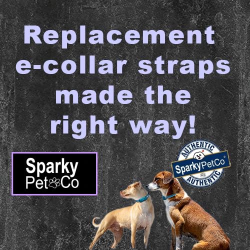Sparky Pet Co Apollo E-Collar Strap in rigid Biothane for consistent contact.