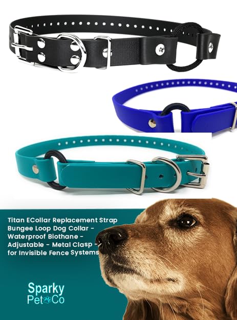 Sparky Pet Co Apollo E-Collar Strap made in the USA with durable materials.