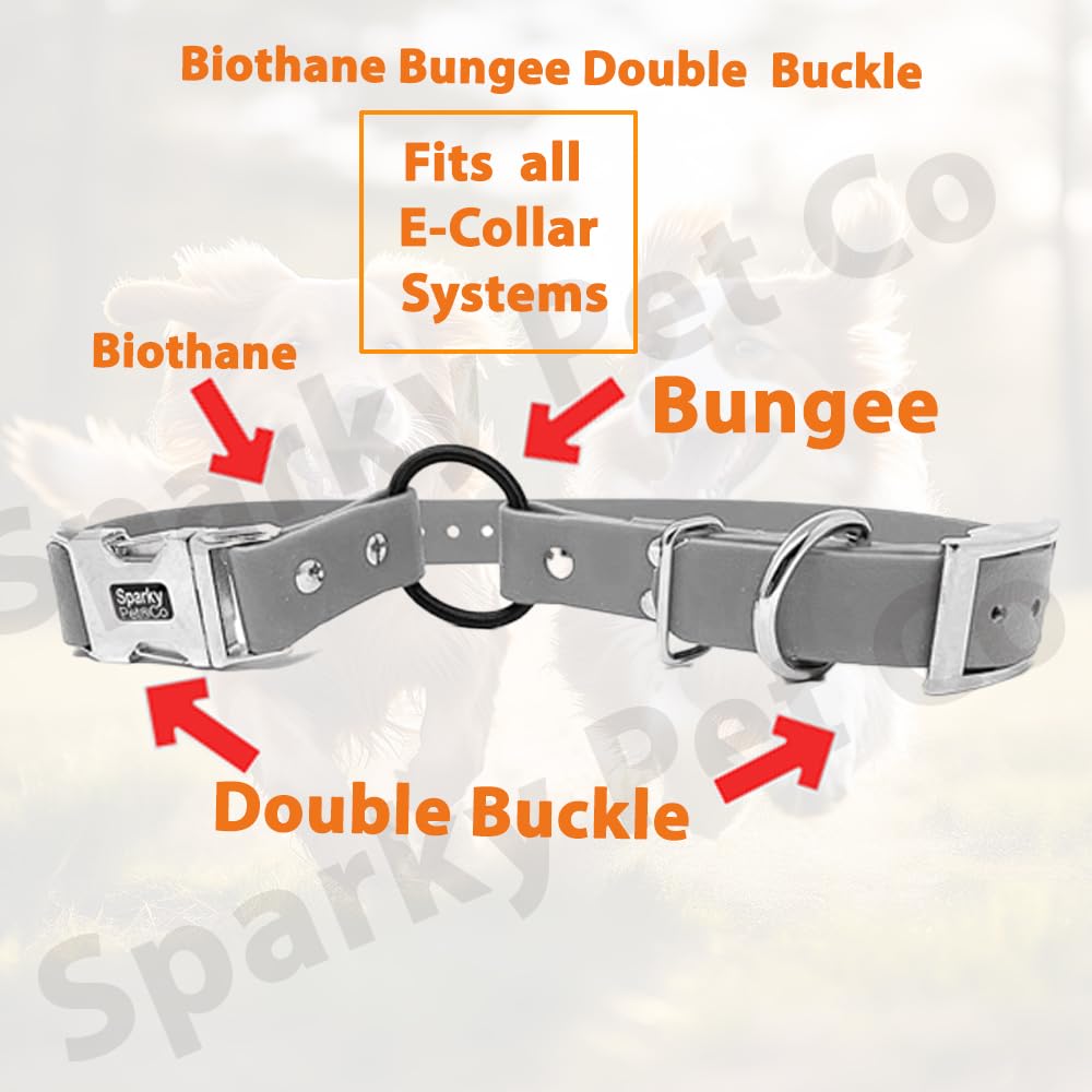 Biothane waterproof material resists water, mud, and odors for outdoor training.