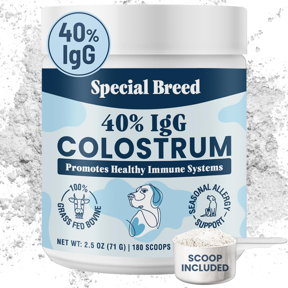 Special Breed 40% IgG dog colostrum powder bottle shows potent immune support.