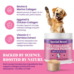 Special Breed 5X Collagen powder blending into dog food.