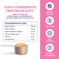 Special Breed 5X Collagen powder scoop for easy daily dosing.