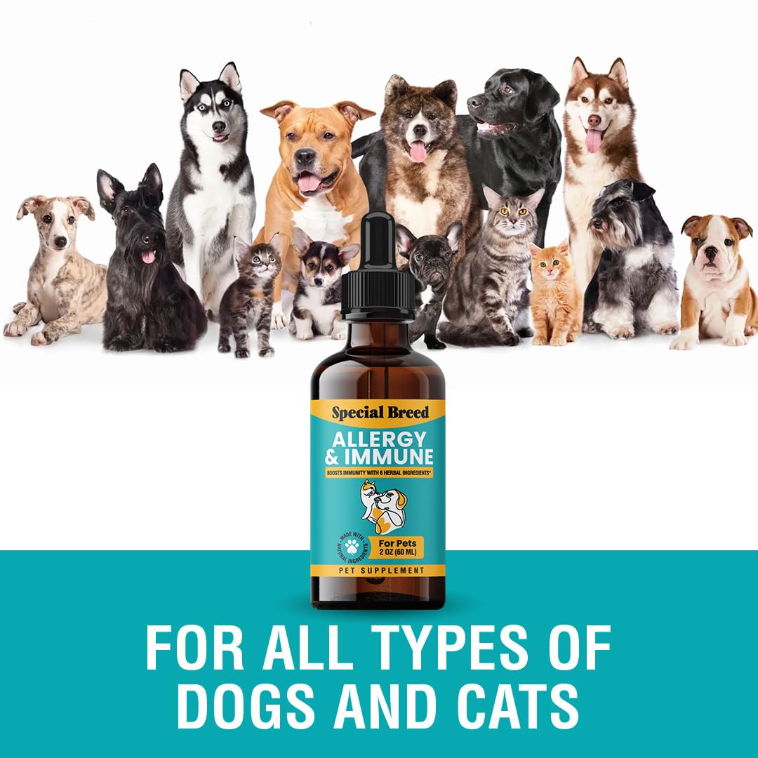 Special Breed Allergy and Immune itch relief supports comfortable daily activity