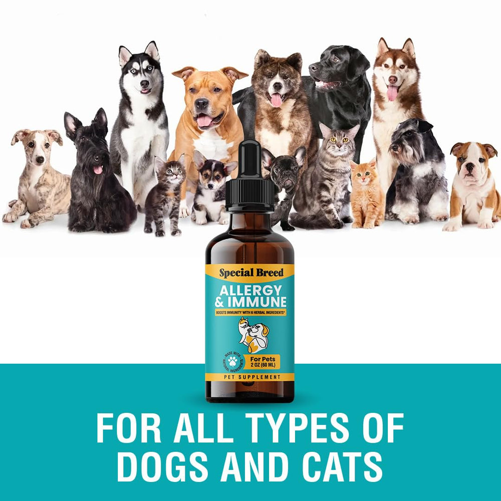 Special Breed Allergy and Immune itch relief supports comfortable daily activity