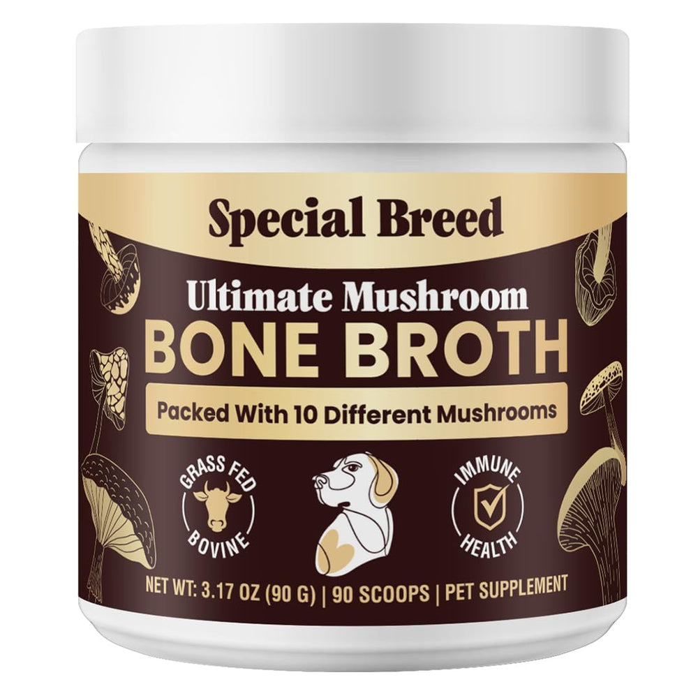 Special Breed beef bone broth for dogs powder pour, rich protein for daily meals