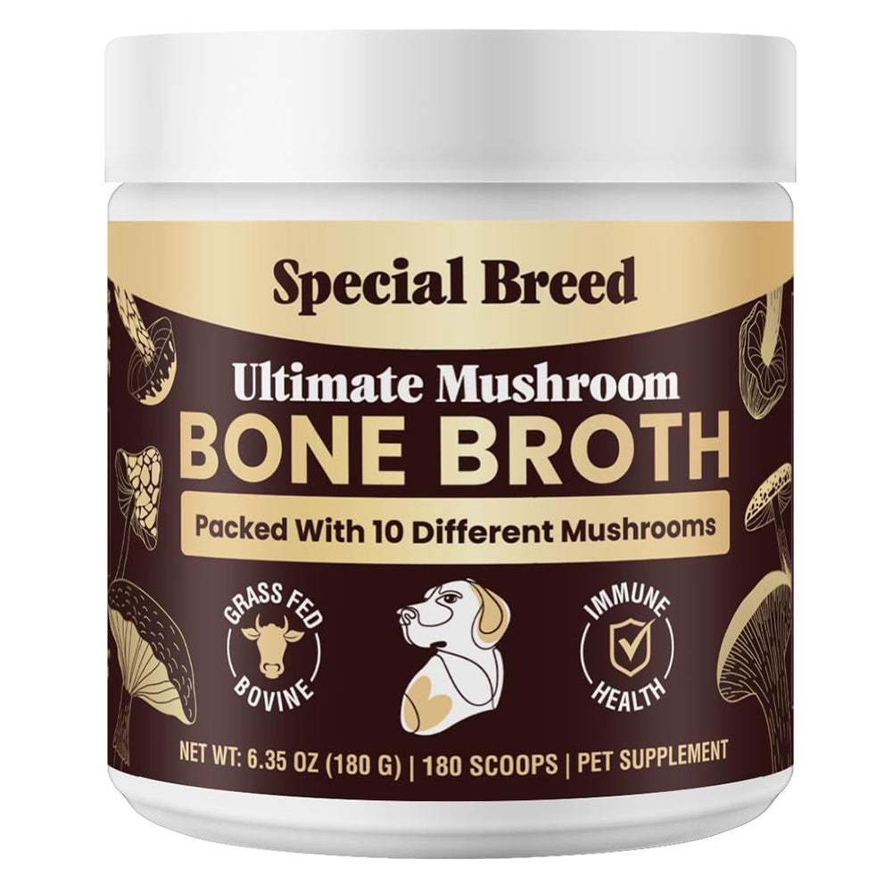Special Breed beef bone broth powder boosts meals with protein and rich flavor