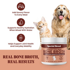 Special Breed bone broth powder in a dog bowl with kibble to entice picky eaters
