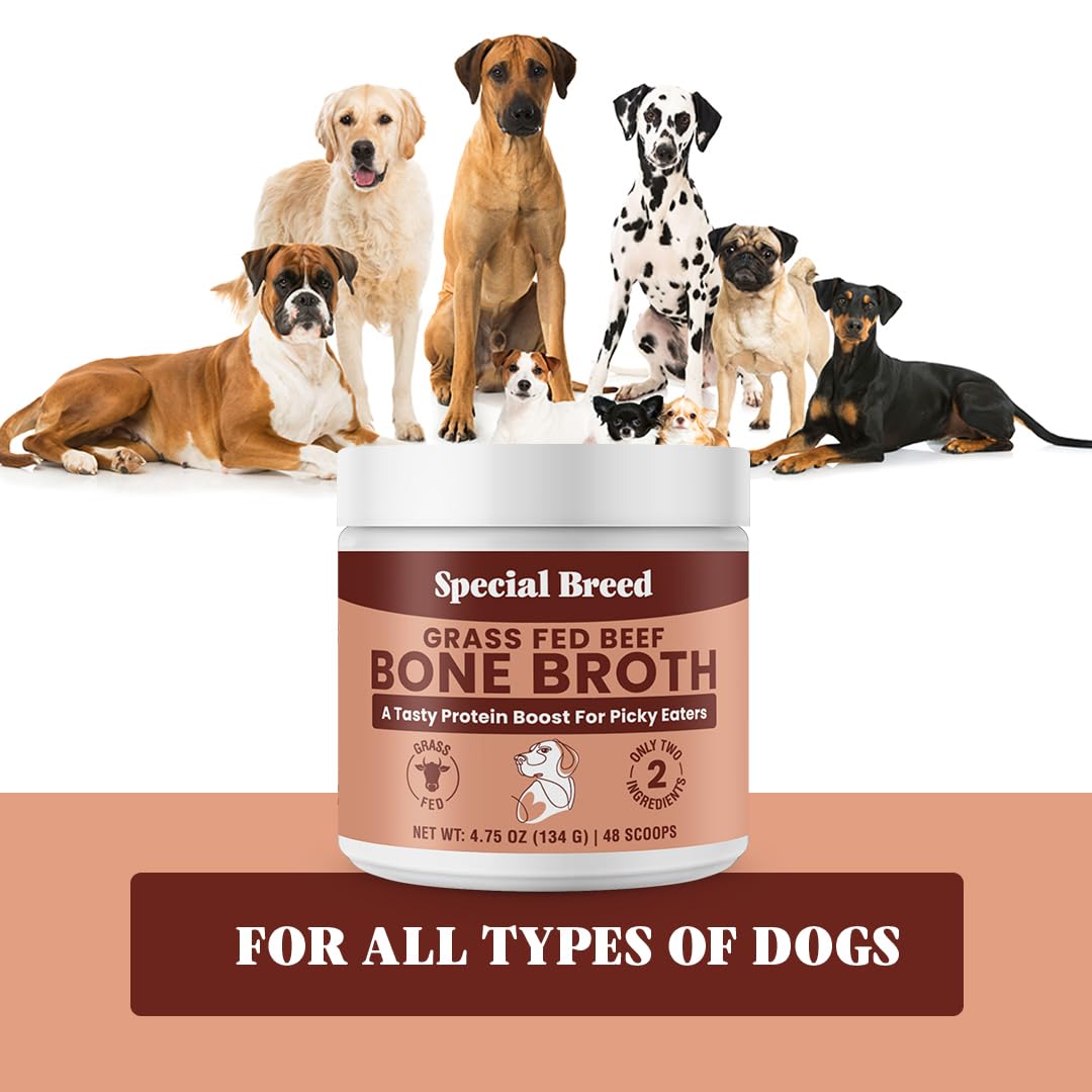 Special Breed bone broth powder gentle formula supporting sensitive stomachs
