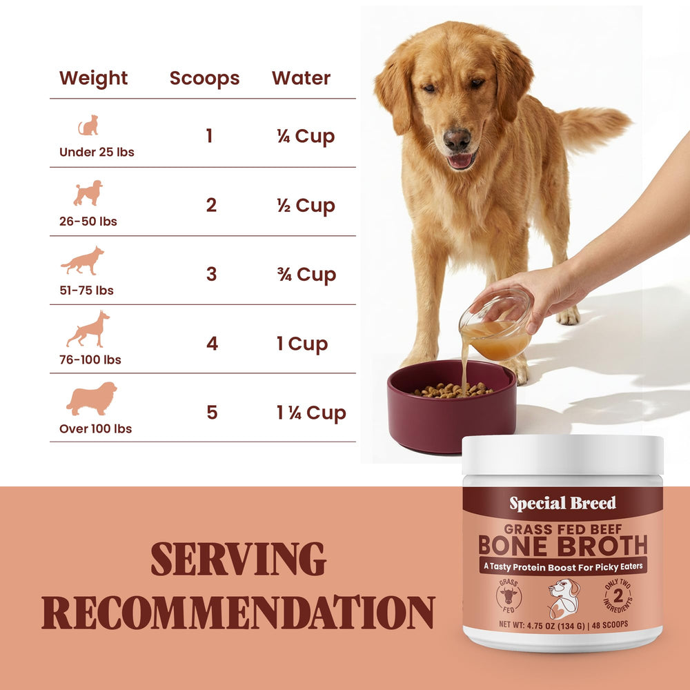 Special Breed bone broth powder being mixed with warm water to make broth