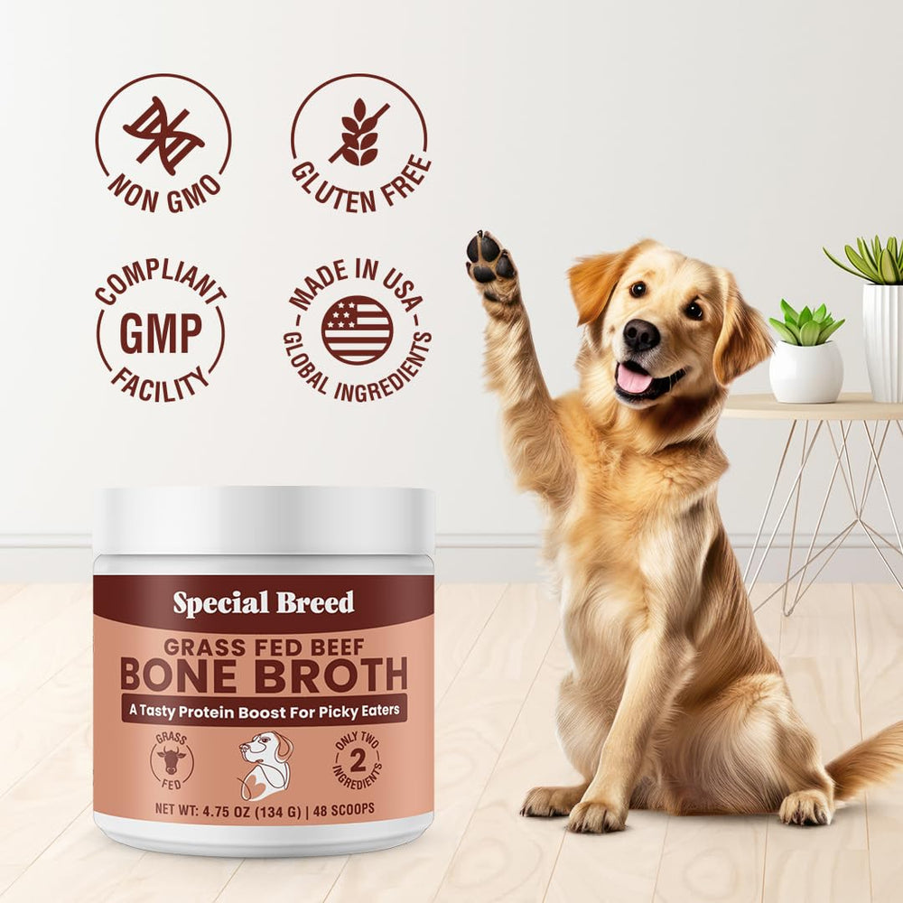 Special Breed bone broth powder USA-made packaging demonstrates quality