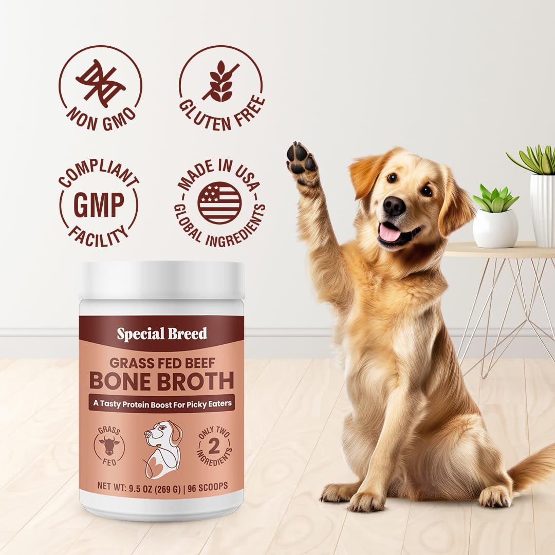 Special Breed bone broth powder jar emphasizes USA-made quality.