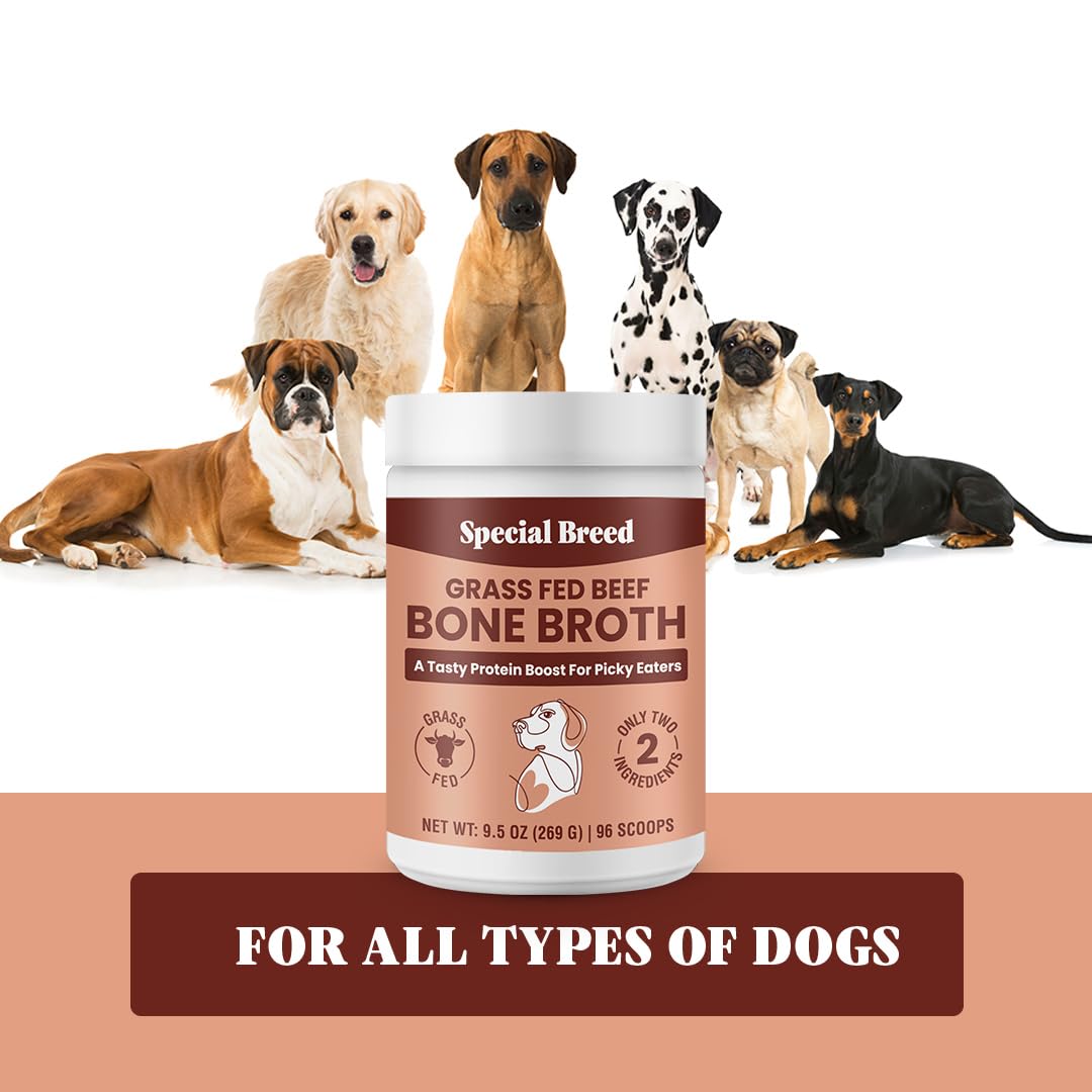 Special Breed bone broth powder served warm to soften meals.