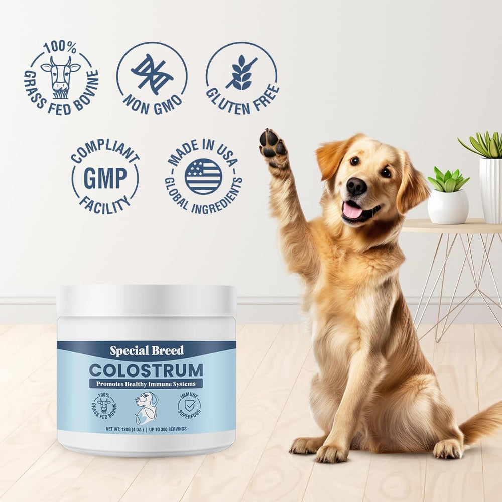 Special Breed Bovine Colostrum scoop beside pets — supports gut health and coat quality.