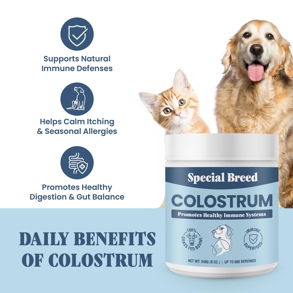 Special Breed colostrum powder for cats – supports gut balance when added to meals.