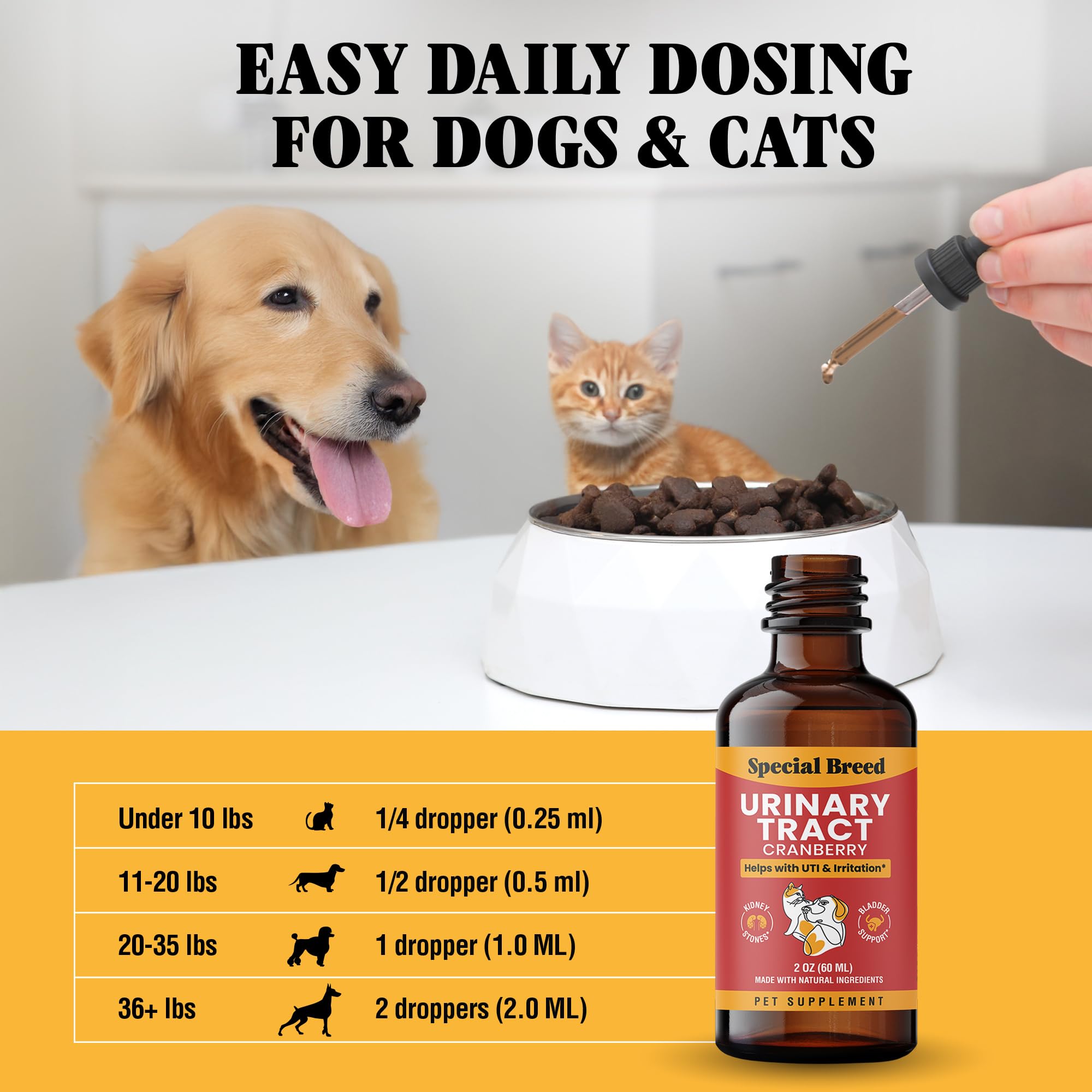 Special Breed close-up of liquid drops highlighting fast absorption.