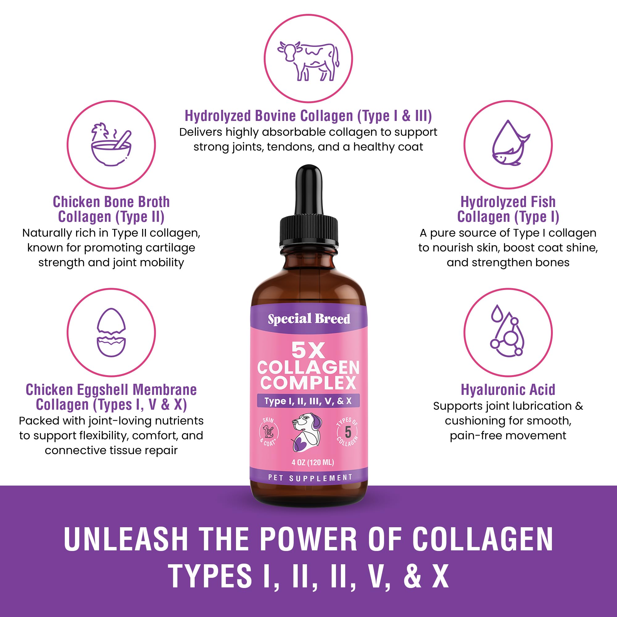 Special Breed collagen for dogs skin and coat nourishment promotes shine.