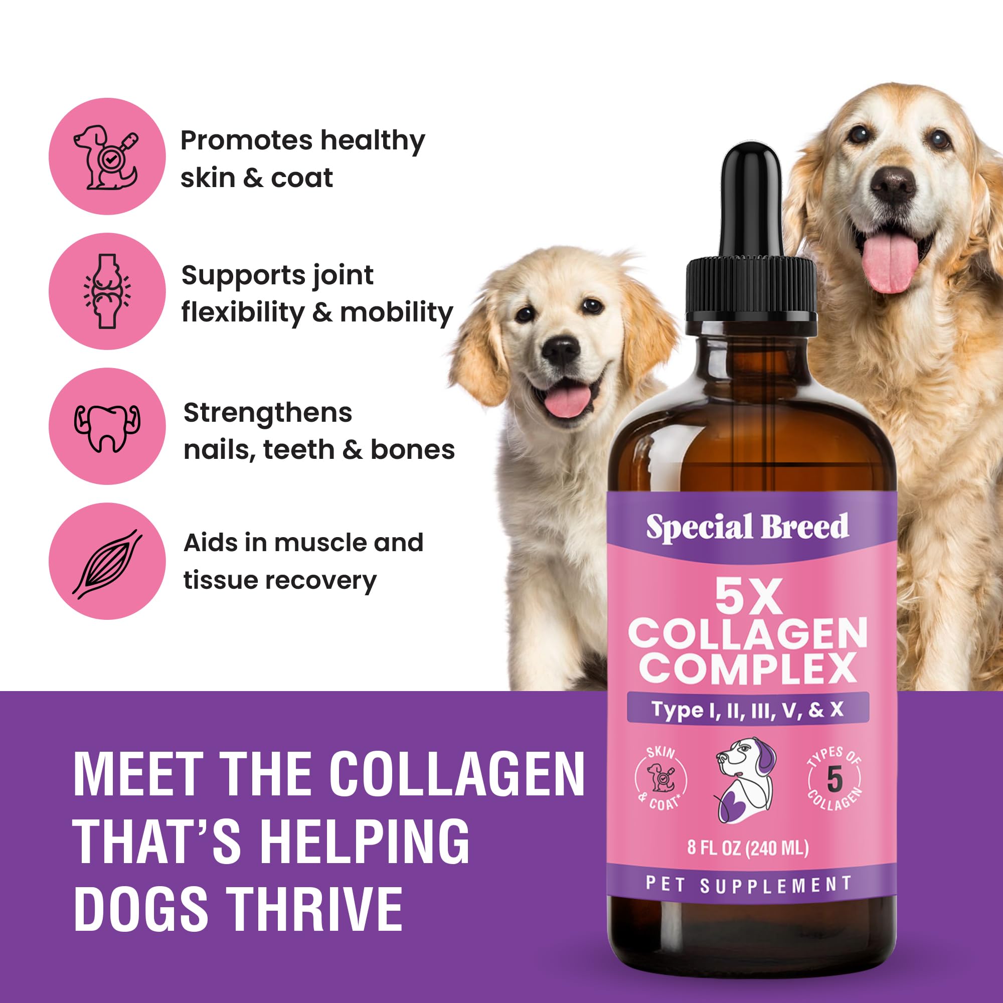 Special Breed collagen for dogs, joint mobility boost in a tasty liquid you can add to food.
