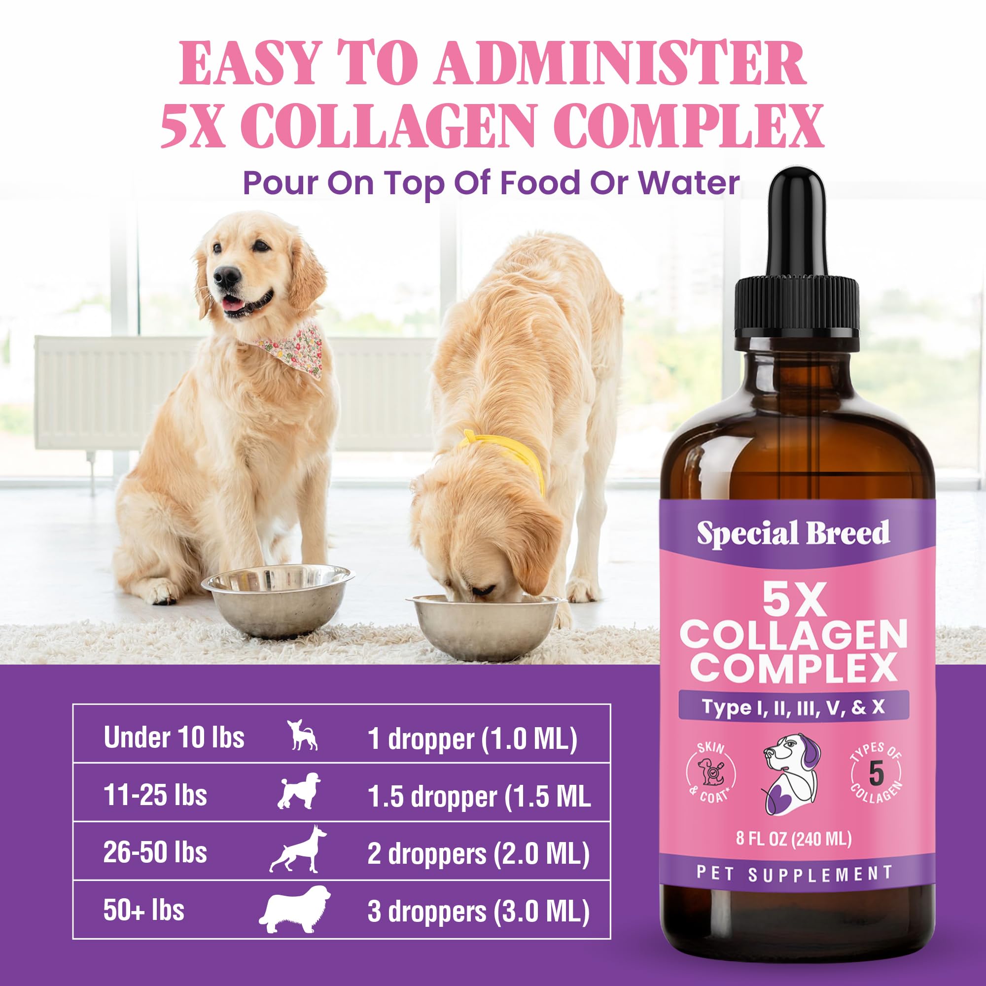 Special Breed collagen for dogs, made in USA in a GMP facility, ensuring quality in every bottle.
