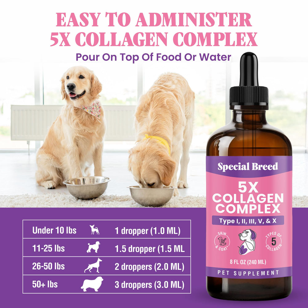 Special Breed collagen for dogs, made in USA in a GMP facility, ensuring quality in every bottle.