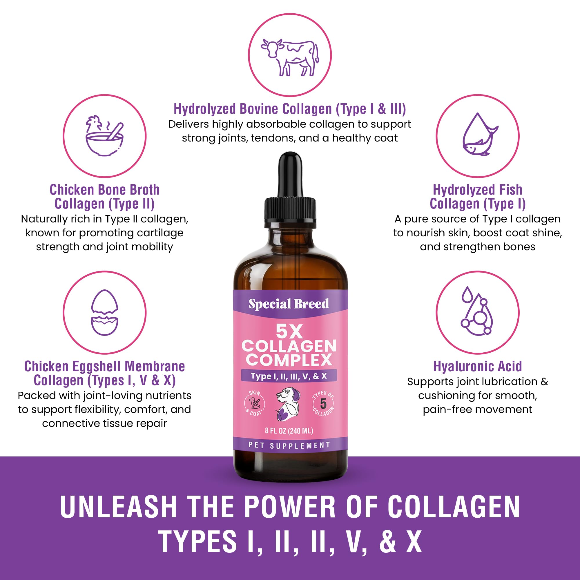 Special Breed collagen for dogs, promotes a shiny coat and healthy skin with daily liquid supplementation.