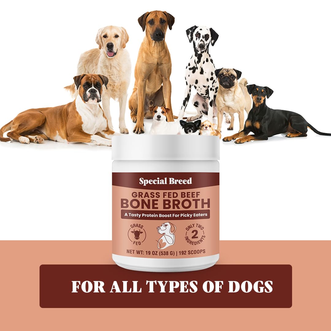 Special Breed collagen-rich-broth closeup hints natural joint support potential.