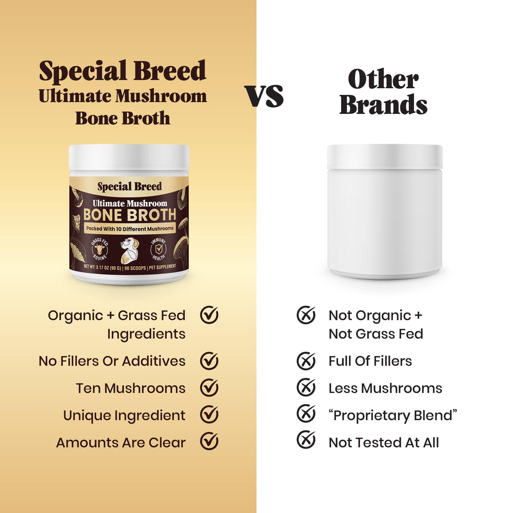 Special Breed collagen and mushrooms promote skin and coat wellness for dogs