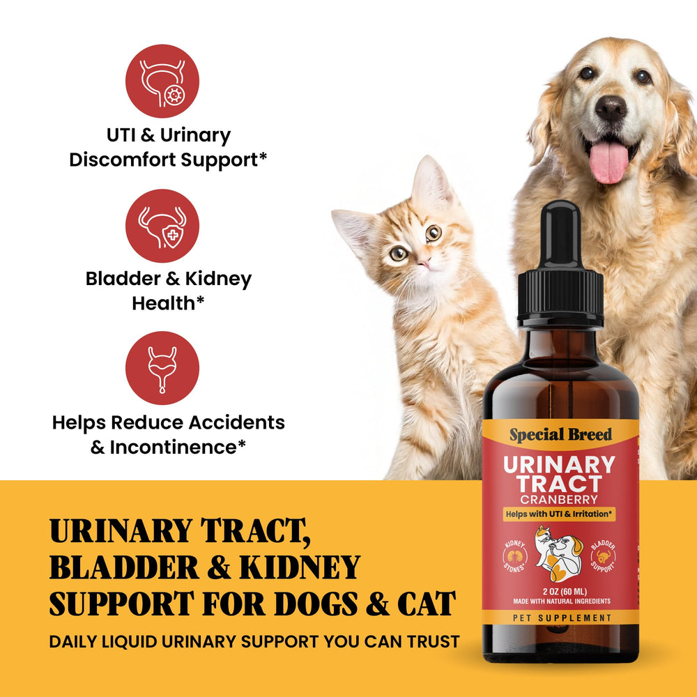 Special Breed cranberry drops for urinary care, concentrated formula supports healthy bladder function.