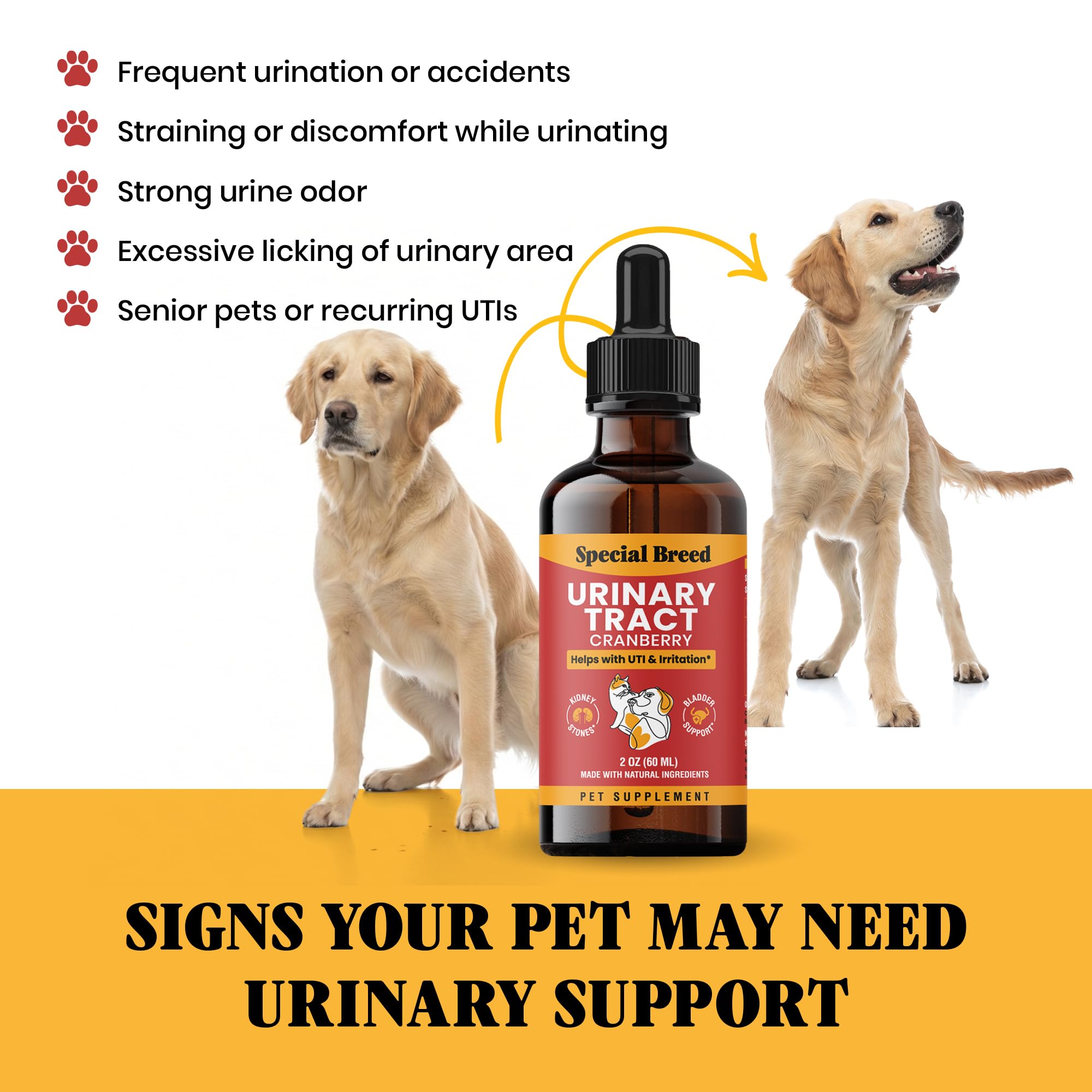 Special Breed dosing drops into mouth or food for stress-free administration.
