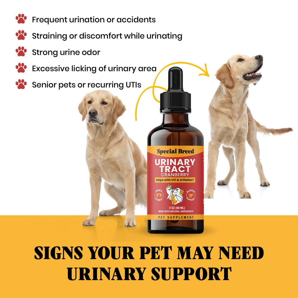 Special Breed dosing drops into mouth or food for stress-free administration.