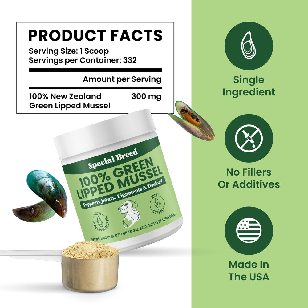 Special Breed Green Lipped Mussel Powder supports an active lifestyle.