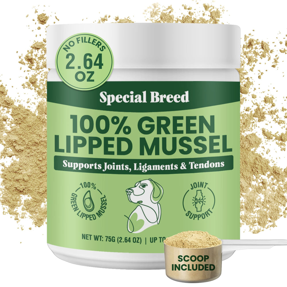 Special Breed Green Lipped Mussel Powder bottle for dogs and cats supports joint comfort.