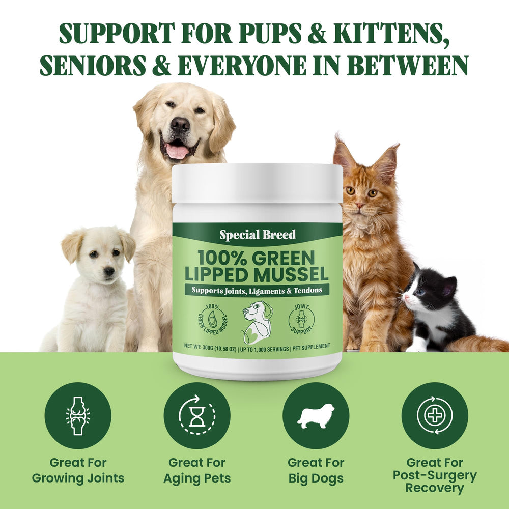 Special Breed Green Lipped Mussel Powder cat serving for joints