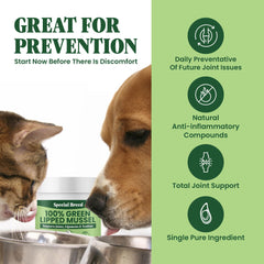 Special Breed Green Lipped Mussel Powder cat serving supports hip and joint health.