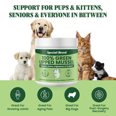 Special Breed green lipped mussel powder for cats supports feline joint wellness.