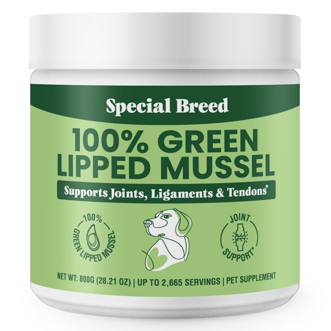Special Breed green lipped mussel powder on dog bowl for joint support.