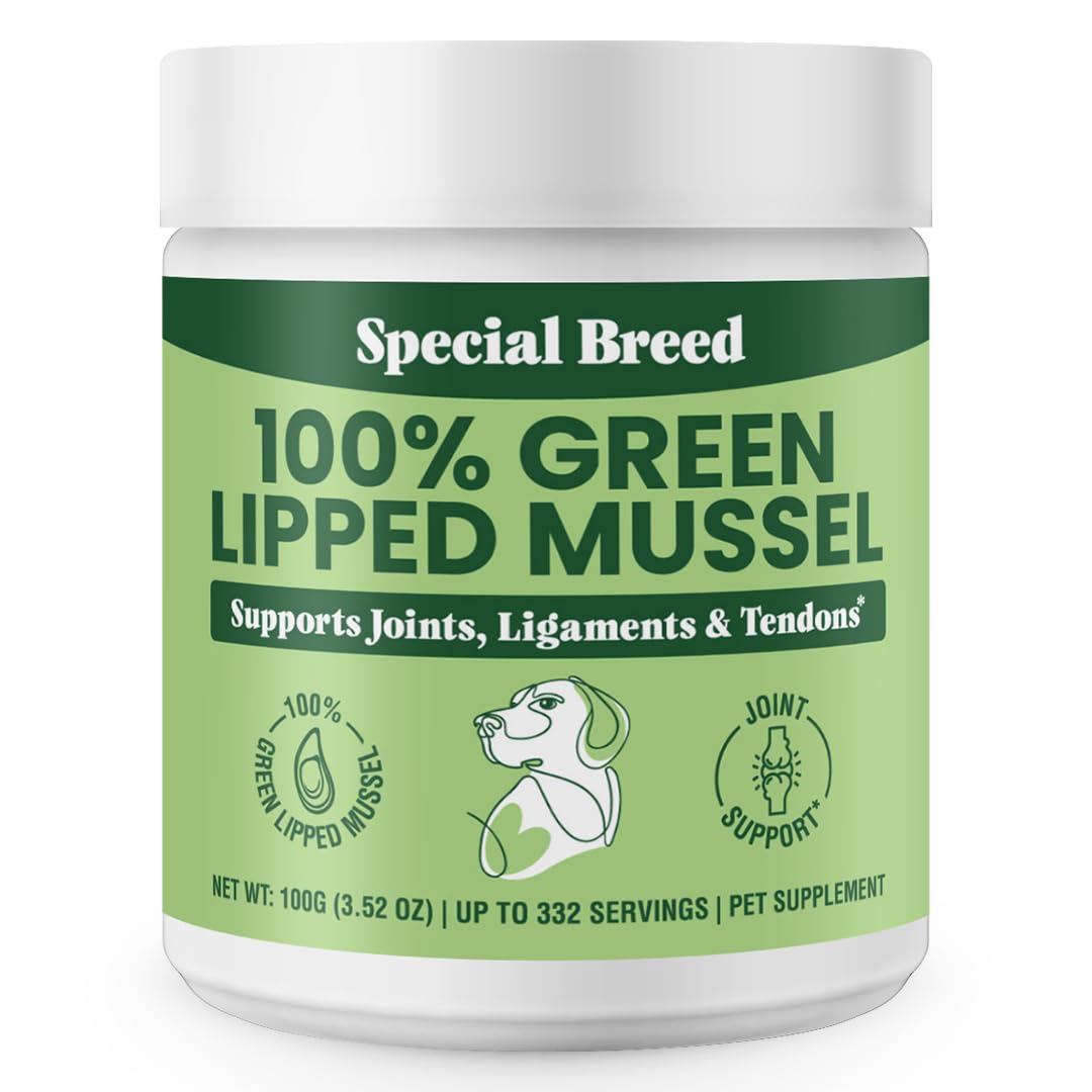 Special Breed Green Lipped Mussel Powder in a dog bowl supports joint mobility.