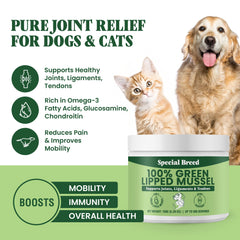 Special Breed Green Lipped Mussel Powder dog serving bowl scene supports mobility.