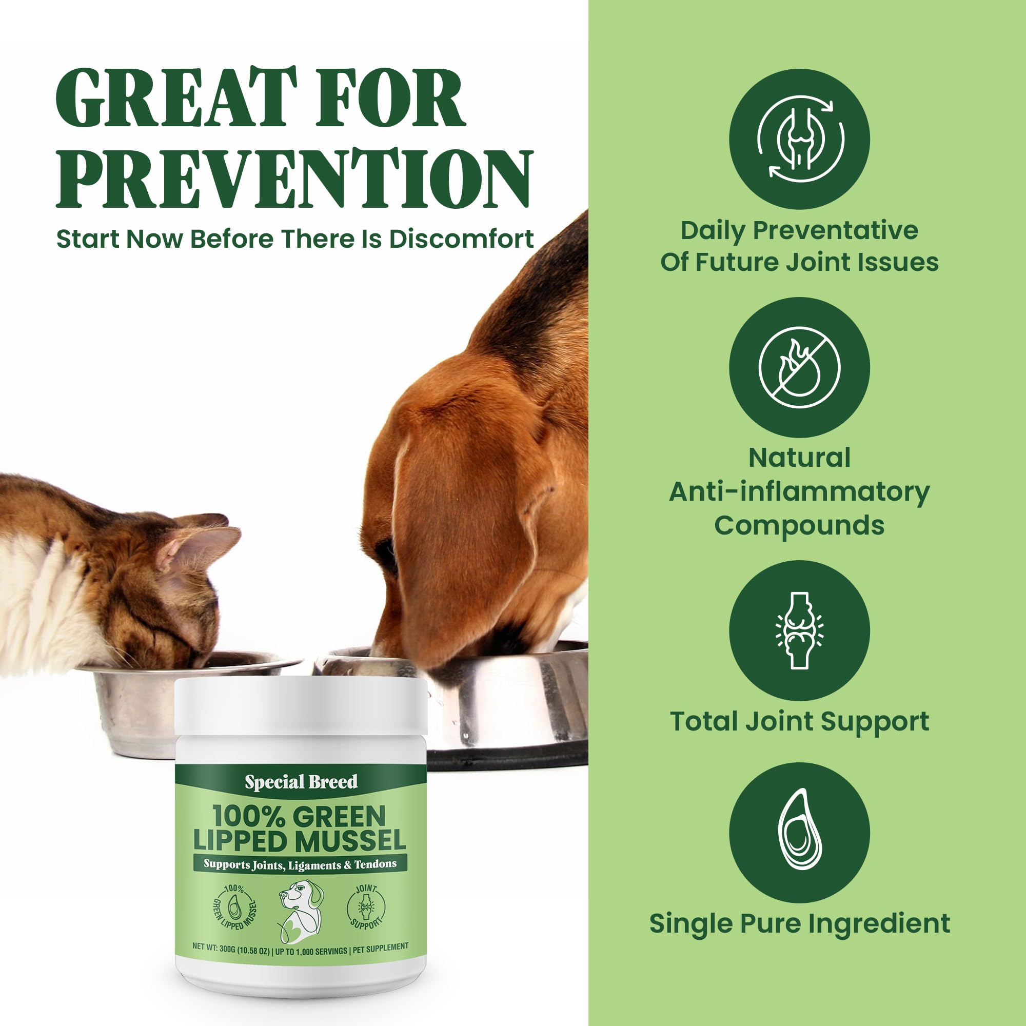 Special Breed Green Lipped Mussel Powder dog serving for joint support