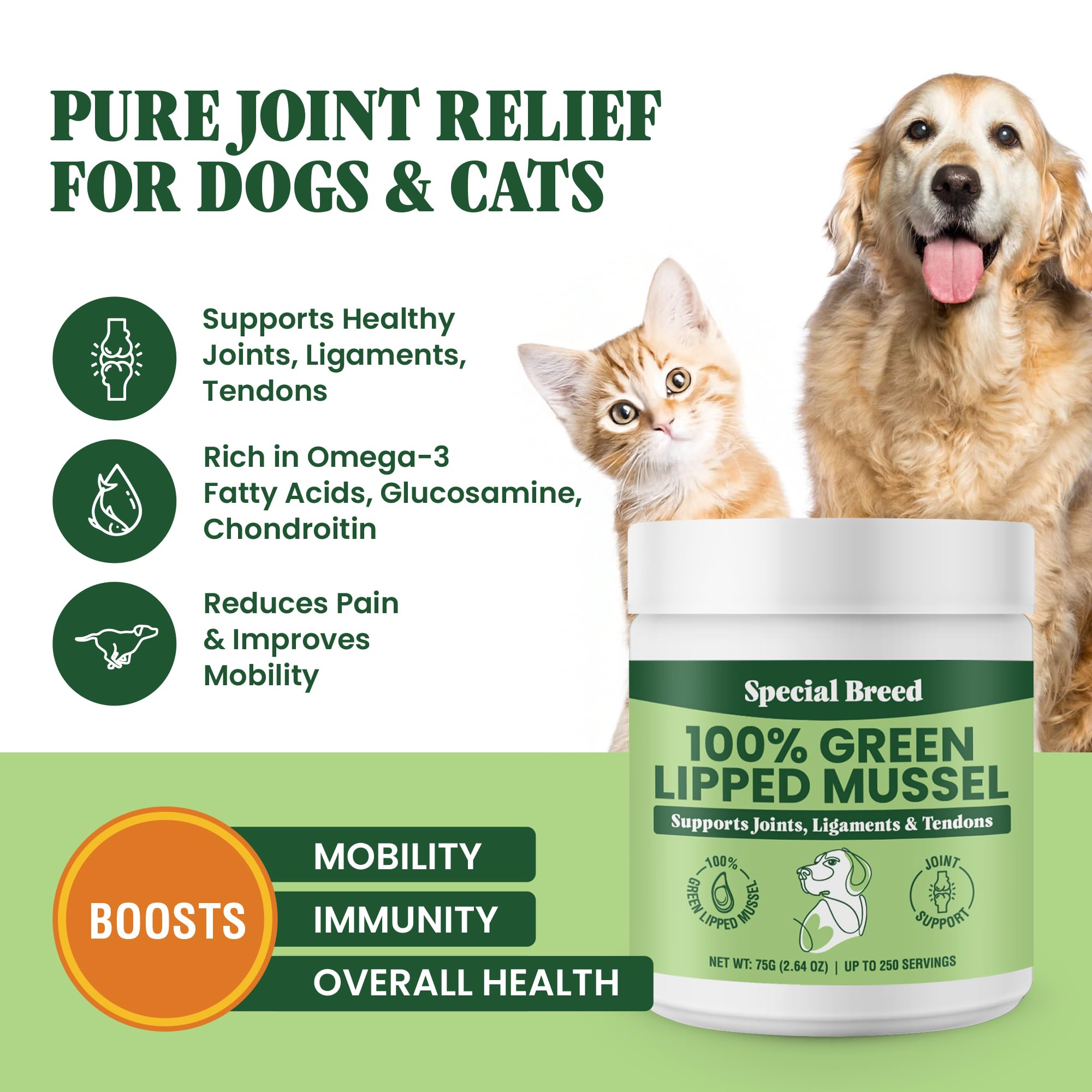 Special Breed Green Lipped Mussel Powder dog serving facilitates daily joint maintenance.