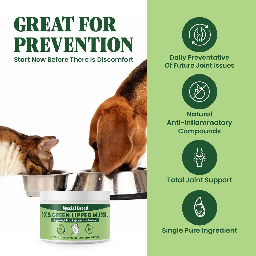 Special Breed Green Lipped Mussel Powder dog-serving on meal time