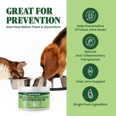 Special Breed Green Lipped Mussel Powder dog-serving on meal time