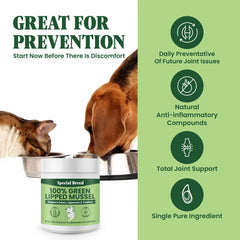 Special Breed Green Lipped Mussel Powder dog serving for joint support