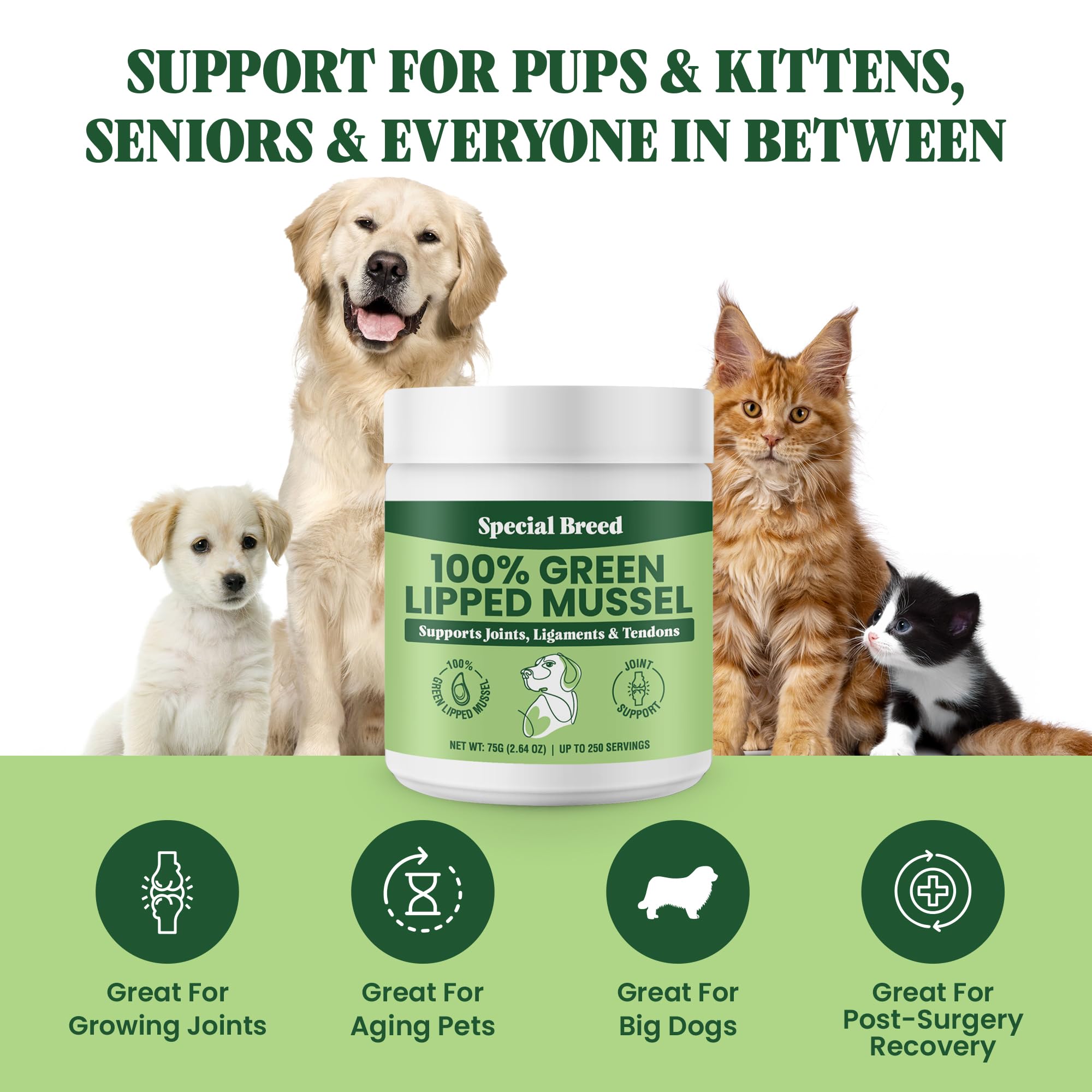 Special Breed Green Lipped Mussel Powder dosage scoop aids simple meal mixing.