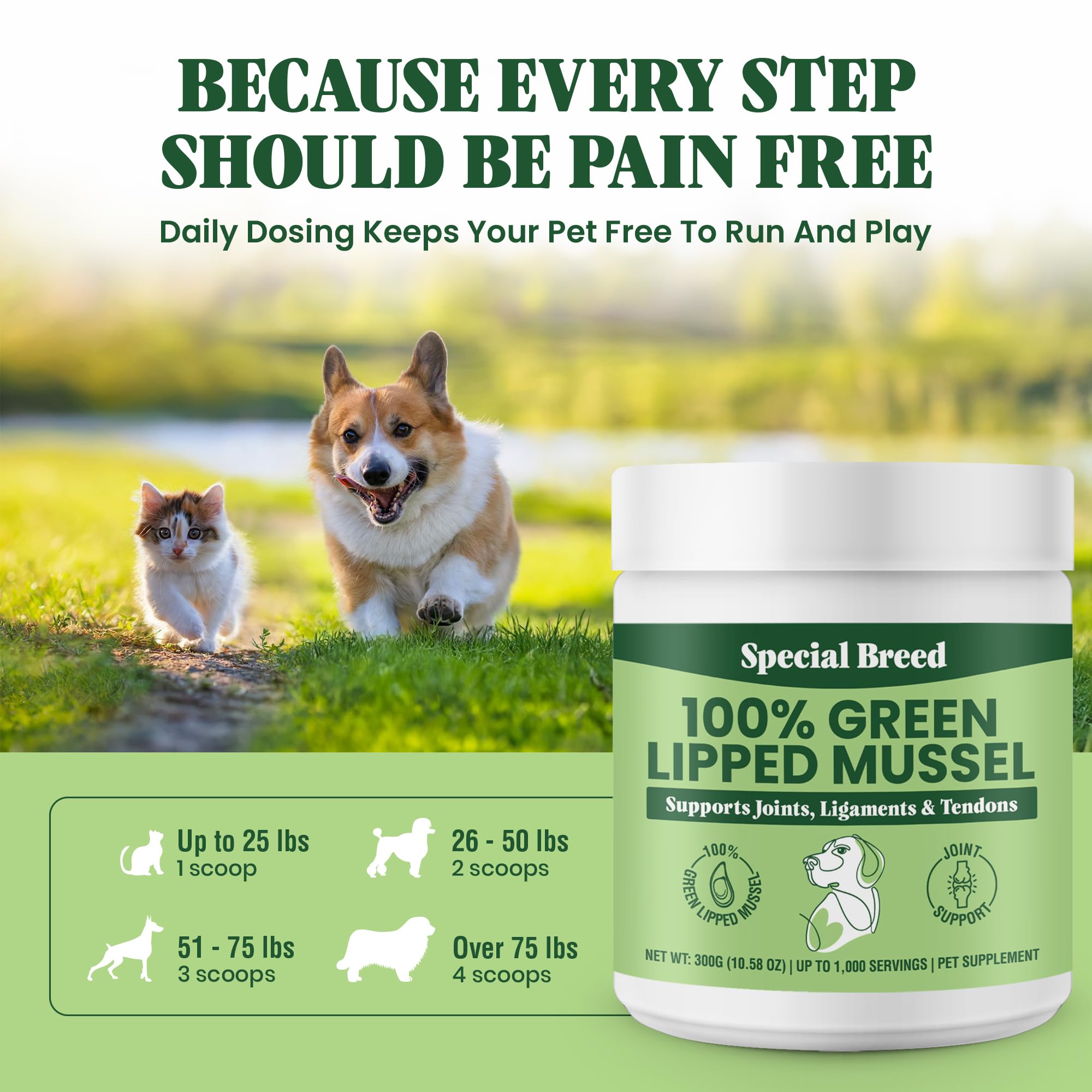 Special Breed Green Lipped Mussel Powder ingredients label