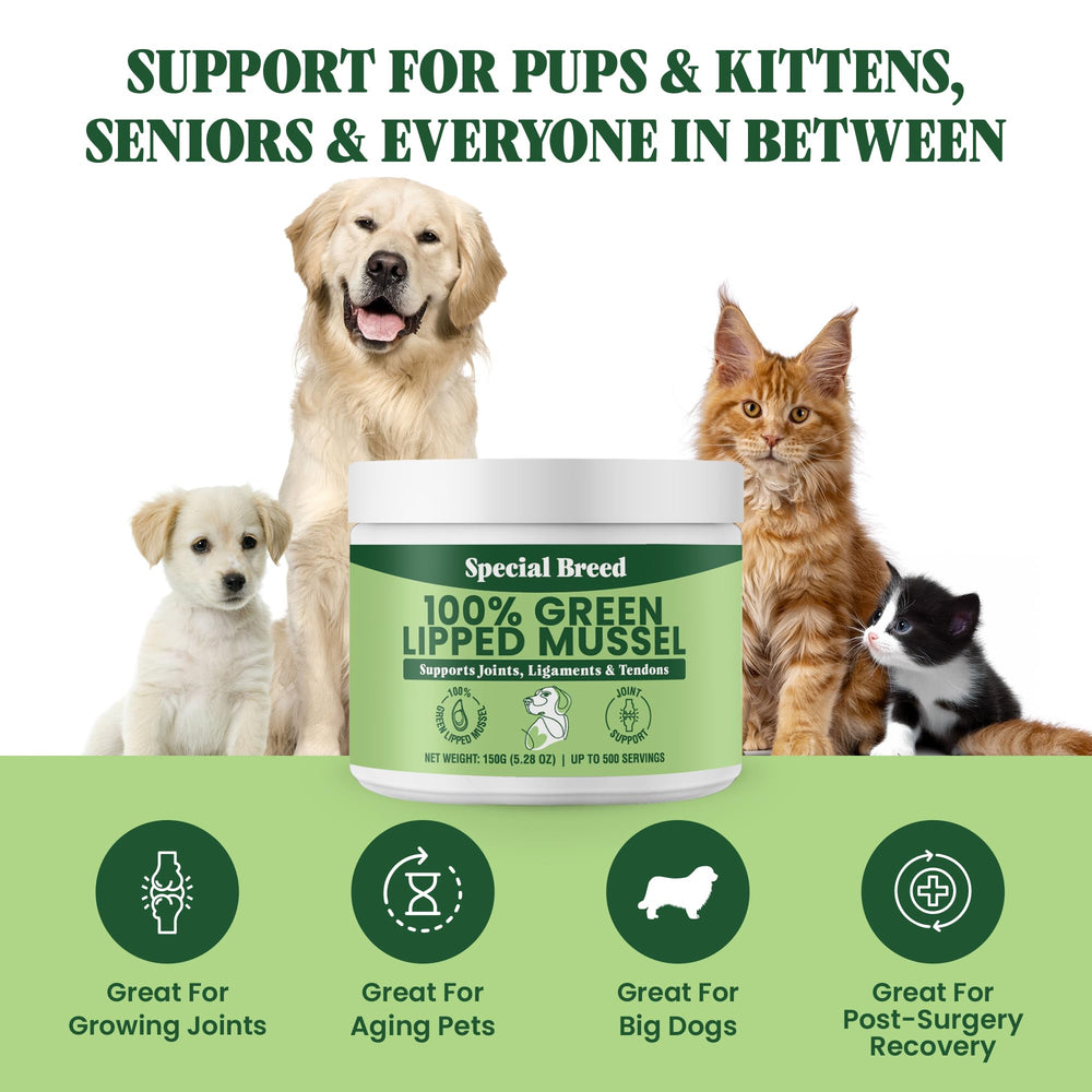 Special Breed Green Lipped Mussel Powder being mixed into pet food for easy dosing.